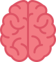 brain